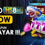 HOKISLOT8 - Agen Judi Slot Online Terpercaya 2021
